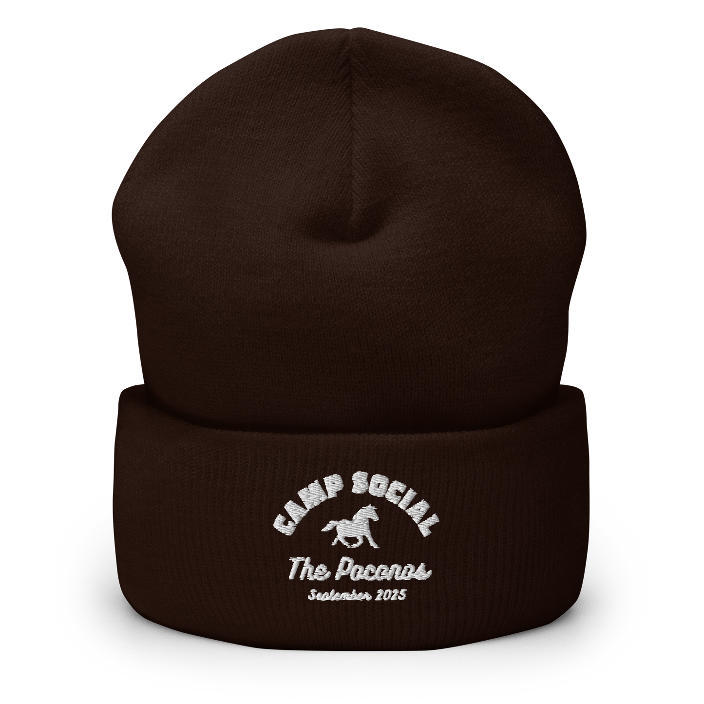 Cuffed Beanie